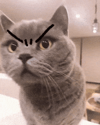 Grrr Cat GIFs