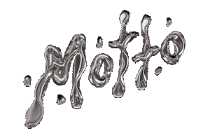 Album Motto Sticker by Ladradora