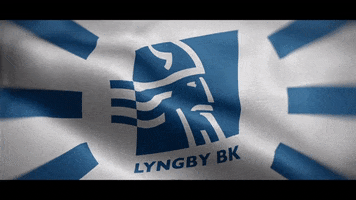 Flag Viking GIF by Lyngby Boldklub