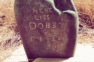 harry potter hermione granger elf dobby ron weasly