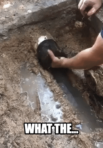 Plumbing Pipes GIF by Storyful