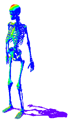 3D Skeleton Sticker by badblueprints