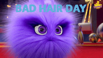 Bad Hair Day GIF by Sunny Bunnies