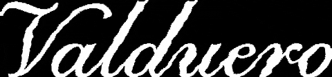 Bodegas Valduero GIF