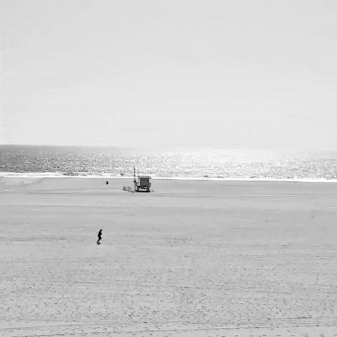 Black And White Beach GIF by Nora Simon