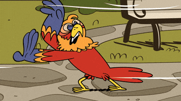 200.gif?cid=fc005b085ba4749b8a59a6dc09c6daaf5fd79fc15754dbe6&rid=200.gif&ct=g