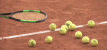 french open tennis GIF by Roland-Garros
