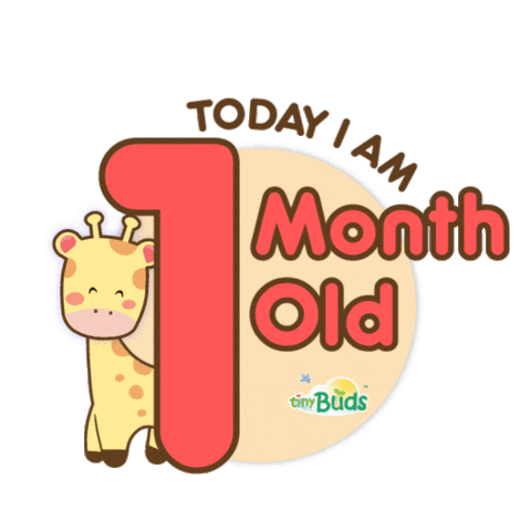 i am 1 month old today sign