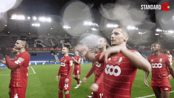 Football Celebration GIF by Standard de Liège