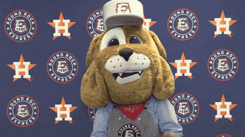 Spike Roundrock GIF by Round Rock Express