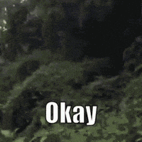 200w.gif