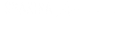 Shakira Accesories Sticker