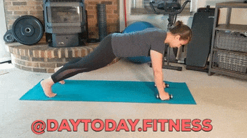 Planks GIF
