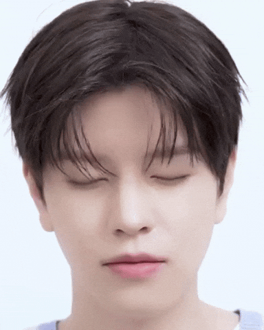 Stray Kids Skz GIF