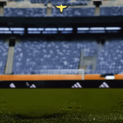 World Cup Soccer GIF by Lincoln Goldfinch Law
