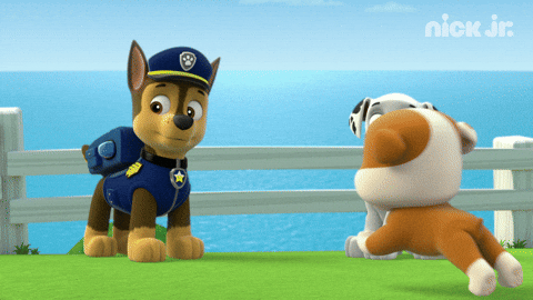 giphy.gif?cid=4d1e4f2946488065d737d457081ca48034f54ae171b8d07e&rid=giphy.gif