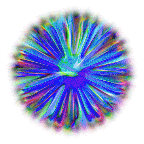 Travess rainbow flower chromatic GIF