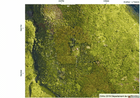 Lidar GIF