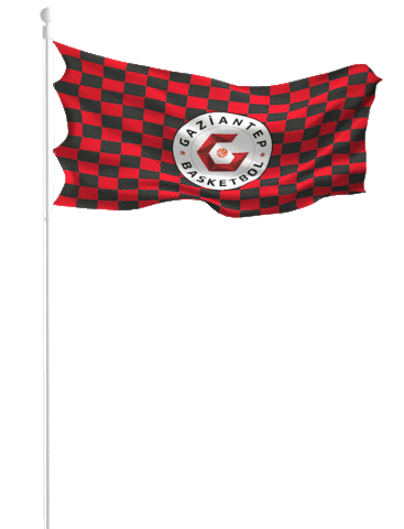 Gaziantepbasketbol Sticker