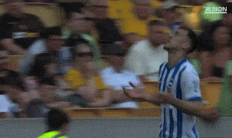Football Brighton GIF