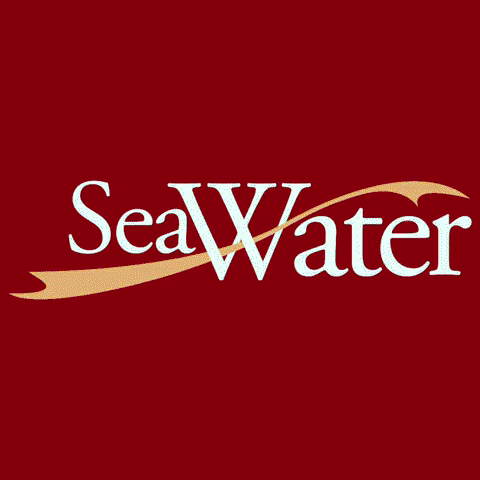 seawaterofficial summer holiday luxury boat GIF