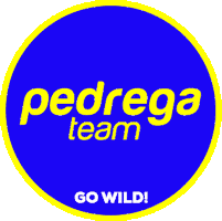 Dakarrally Sticker by Pedregà Team