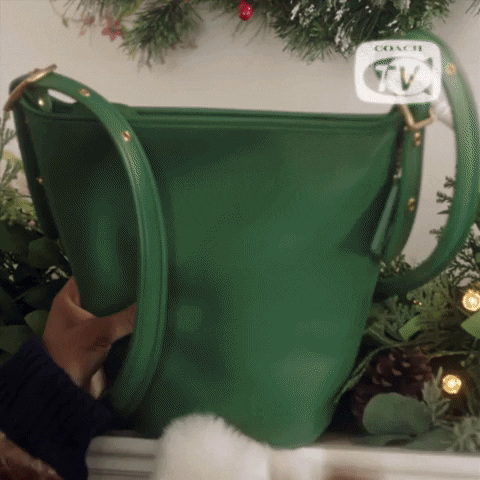 Happy Christmas GIF by Coach