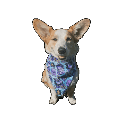 Corgi Ellie Sticker by Geekster Pets