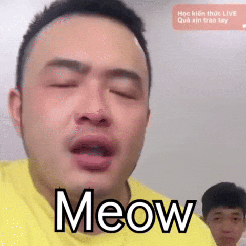 Meow GIF