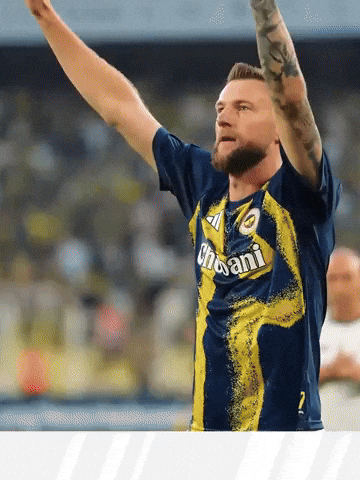 Milan Skriniar GIF by Socinflu