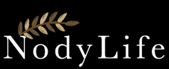 NodyLife GIF