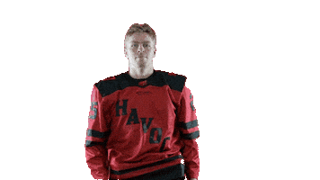 Lets Go Hockey Sticker by Huntsville Havoc