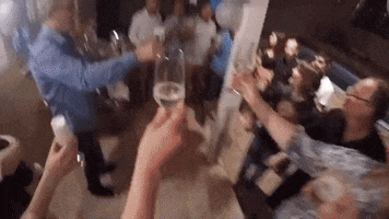 imunizadorahoffmann cheers GIF