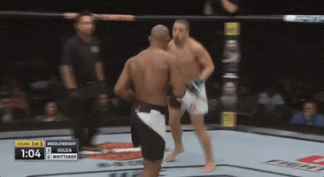 TRNGL  GIF