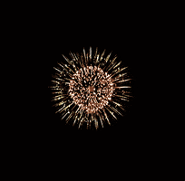 happy new year fireworks GIF by hoppip