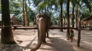 Relax Turizem GIF