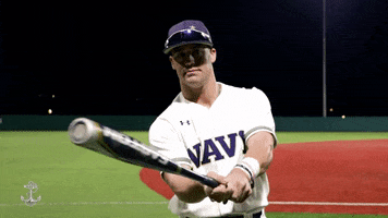Batter Up Go Navy GIF by Navy Athletics