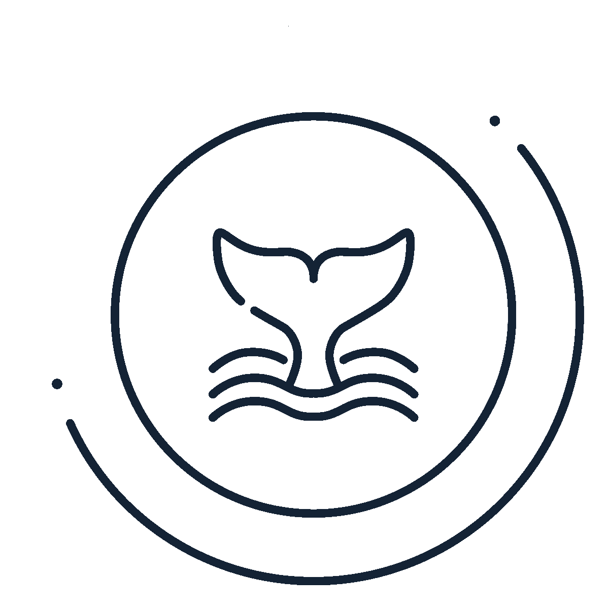 Sea Ocean Sticker by De Aqua Vivo