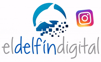 El Delfín Digital GIF