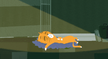 Tired Cats GIF by Kitty Is Not A Cat