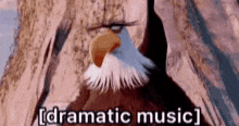 Angry Birds No GIF