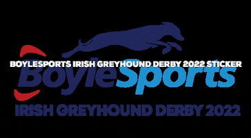 BoyleSports dogs bet betting greyhounds GIF
