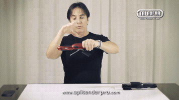 Talavera GIF