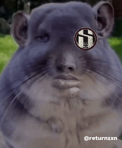 Prodreturnz GIF