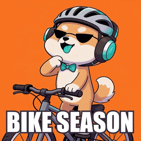 Shiba Inu Sunglasses GIF by WUFFI
