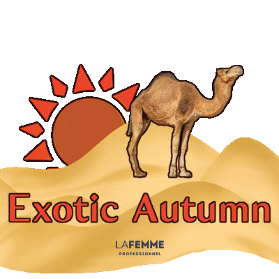 Sun Autumn Sticker by LaFemme