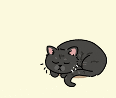 leonardo_rafael cat sleepy sleeping gray GIF