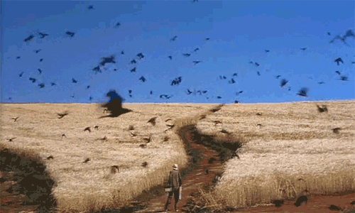 van gogh film GIF