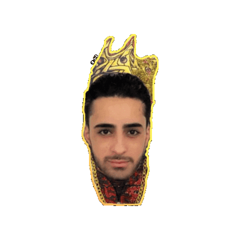 Alpha Realty-Dasha Sticker
