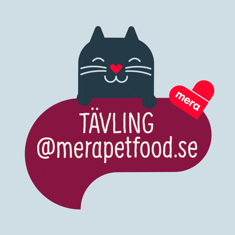 Cat Dog GIF by mera petfood